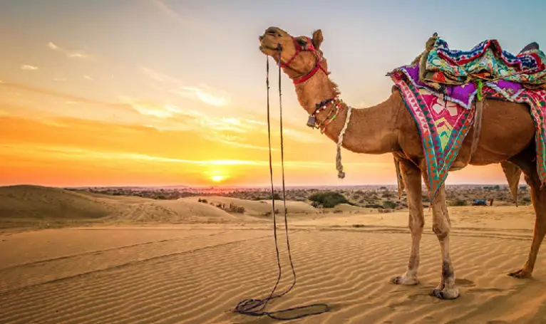 Rajasthan Tour Package  12 Days