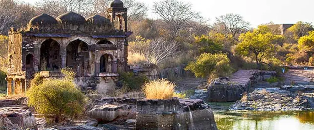 Agra Ranthambore Jaipur Tour Package