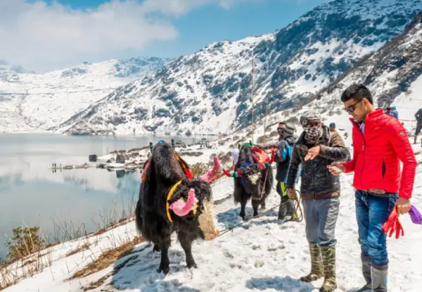 Gangtok Honeymoon Tour Package