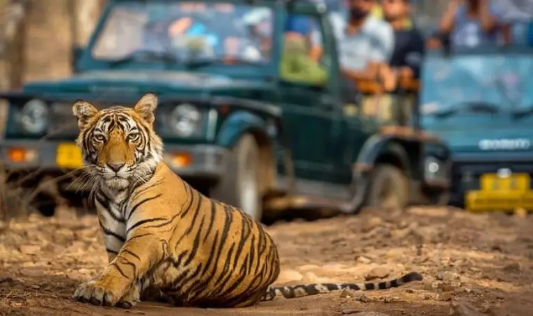 Jaipur Ranthambore 2 Day Tour