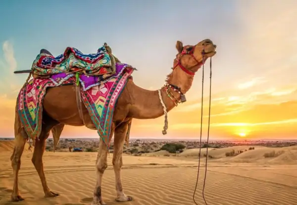 Glory of Rajasthan Tour Package