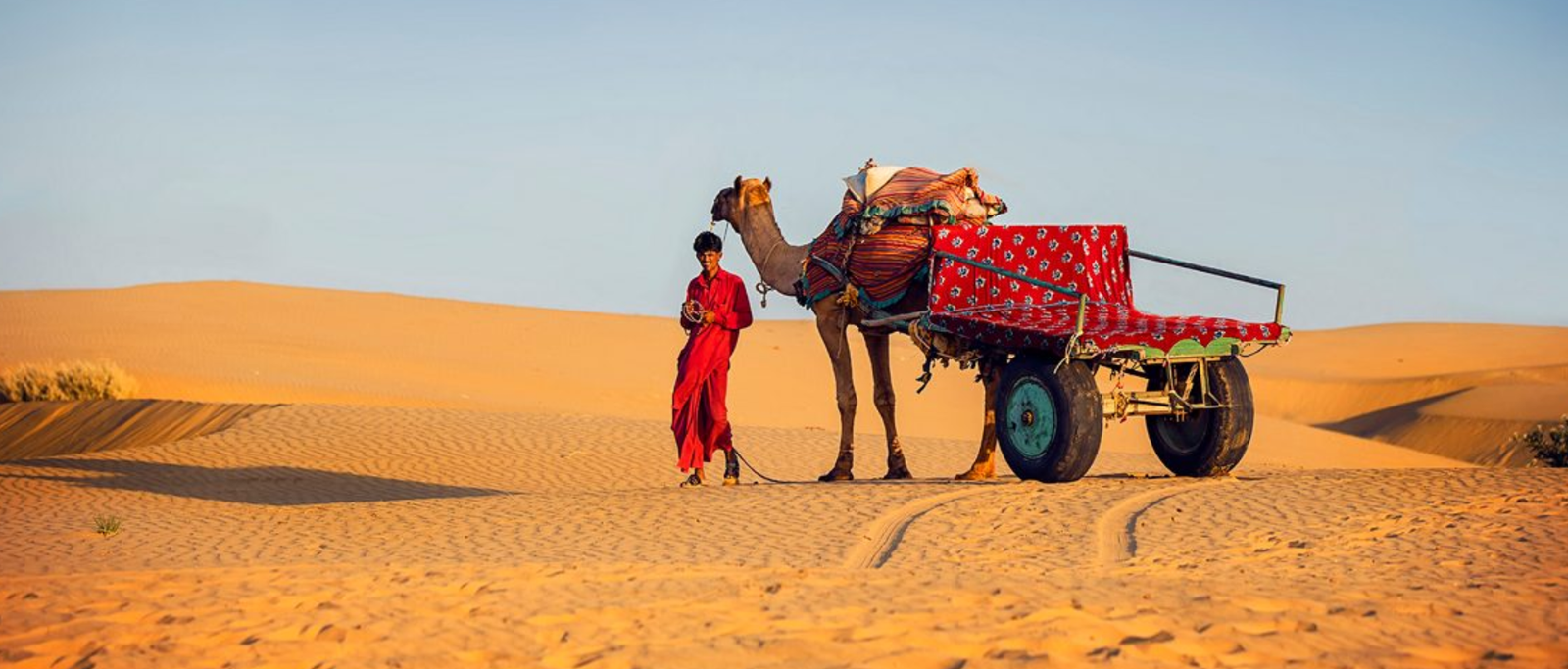 Rajasthan Wildlife Tour Package