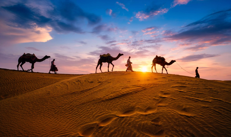 Rajasthan Wildlife Tour Package