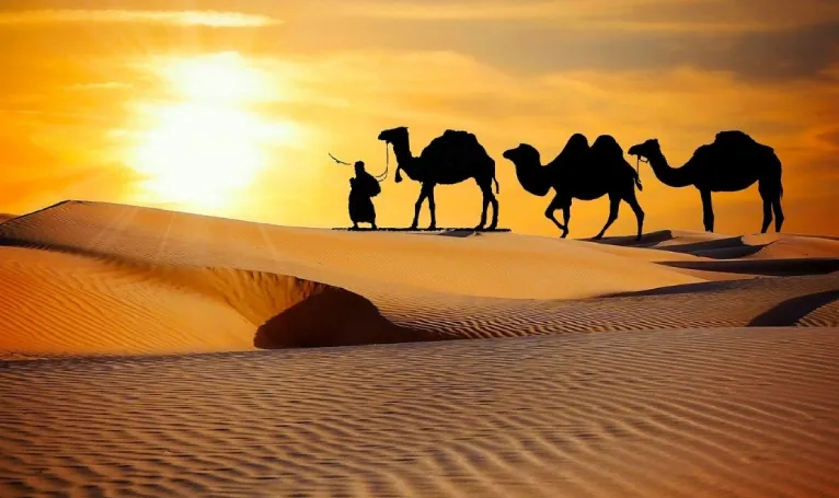 Rajasthan Desert Safari Tour